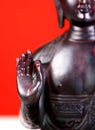 Buddha hand Royalty Free Stock Photo