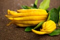 Buddha hand citrus fruit. Yellow Organic fingered citron, Buddha\'s Hand Citrus Fruit with Fingers