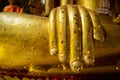 Buddha hand Royalty Free Stock Photo