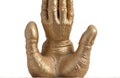 Buddha Hand, isolated on white background Royalty Free Stock Photo