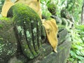 Buddha hand sculpture covered with moss in green nature, antique and vestige in Asia Royalty Free Stock Photo