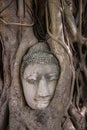 Buddha head Royalty Free Stock Photo