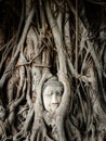 Buddha Head in Banyan Tree Roots at Wat Mahathat Temple in Ayutthaya Historical Park, Thailand Royalty Free Stock Photo