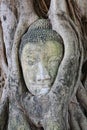 Buddha head at Buddhist temple in Ayuthaya, Thailand