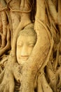 Buddha head encased in tree roots,Thailand