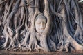 Buddha head enclose in tree roots, Thailand Royalty Free Stock Photo