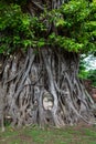 Buddha head entwined with tree roots,Wat Mahathat,Ayutthaya prov Royalty Free Stock Photo