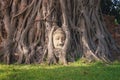 The Buddha head and face in the banyan tree`s root in Wat Mahathat or Wat Maha temple in Ayutthaya Province, Bangkok City, Royalty Free Stock Photo