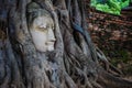 Buddha head overgrown with tree roots, Wat mahathat Ayutthaya, T Royalty Free Stock Photo