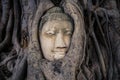 Buddha head overgrown with tree roots, Wat mahathat Ayutthaya, T Royalty Free Stock Photo