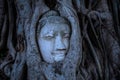 Buddha head overgrown with tree roots, Wat mahathat Ayutthaya, T Royalty Free Stock Photo