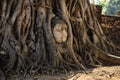 Buddha head overgrown by tree roots in Wat Mahathat, Ayutthaya, Thailand Royalty Free Stock Photo