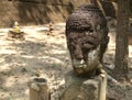 Buddha head placed on a stone in a Thai temple Royalty Free Stock Photo