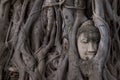Buddha Head statue trapped in roots of Bodhi Tree at Wat Mahathat, Ayutthaya historical park, Thailand. Royalty Free Stock Photo