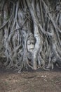 Buddha Head statue trapped in roots of Bodhi Tree at Wat Mahathat. Ayutthaya historical park in Thailand. Royalty Free Stock Photo