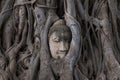 Buddha Head statue trapped in roots of Bodhi Tree at Wat Mahathat, Ayutthaya historical park, Thailand. Royalty Free Stock Photo