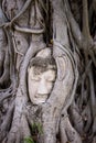 Buddha head in strangler fig roots at Wat Mahathat, Ayutthaya