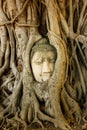 Buddha Head in Tree Roots, Wat Mahathat, Ayutthaya Royalty Free Stock Photo