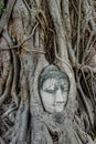 Buddha Head in Tree Roots - Wat Mahathat