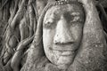 Buddha head in tree roots at Wat Mahathat, Ayutthaya, Thailand. Royalty Free Stock Photo