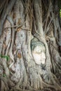 Buddha Head in Tree Roots, Wat Mahathat, Ayutthaya, Thailand Royalty Free Stock Photo