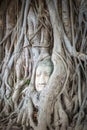 Buddha Head in Tree Roots, Wat Mahathat, Ayutthaya, Thailand Royalty Free Stock Photo