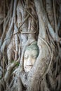 Buddha Head in Tree Roots, Wat Mahathat, Ayutthaya, Thailand Royalty Free Stock Photo