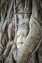 Buddha Head in Tree Roots, Wat Mahathat, Ayutthaya, Thailand Royalty Free Stock Photo