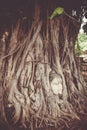 Buddha Head in Tree Roots, Wat Mahathat, Ayutthaya, Thailand Royalty Free Stock Photo