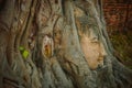 Buddha Head in Tree Roots, Wat Phra Mahathat temple, Ayutthaya, Thailand Royalty Free Stock Photo
