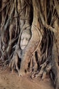 Buddha Head in the Tree Royalty Free Stock Photo