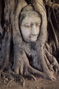 Buddha Head in the Tree Royalty Free Stock Photo