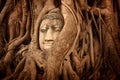 Buddha head in tree Wat Mahathat, Ayutthaya