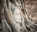 Buddha head in Wat Mahathat Royalty Free Stock Photo
