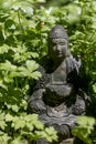 Buddha Hiding in the summer Barley. Royalty Free Stock Photo