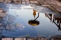 The Buddha image reflected in the water at chedi luang temple,chiang mai,thailand