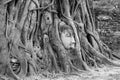 Buddha Image Head Trapped in the Tree Roots at Wat Mahathat Ancient Temple, UNESCO World Heritage Site in Ayutthaya, Thailand Royalty Free Stock Photo