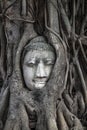 Buddha image at Wat Mahathat (Temple), Ayutthaya, Thailand. Unesco World Heritage Site Royalty Free Stock Photo