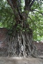 Buddha image at Wat Mahathat (Temple), Ayutthaya, Thailand. Unesco World Heritage Site Royalty Free Stock Photo