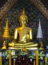 Buddha image in Wat Suan Dok, Chiang Mai Royalty Free Stock Photo