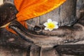 Buddha image with yellow robe, flower (Plumeria) in hand. Royalty Free Stock Photo