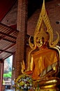 Buddha images at temples in Ayutthaya, Thailand Royalty Free Stock Photo