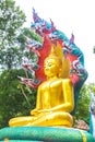 Buddha with king of naga 01