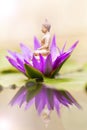 Buddha and lotus represent the faith. Royalty Free Stock Photo