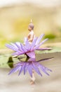 Buddha and lotus represent the faith. Royalty Free Stock Photo