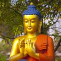 Buddha in Lumbini, Nepal