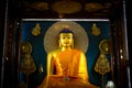 Buddha of The Mahabodhi Temple of Bodh Gaya,India at Puja festival