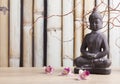 Buddha in meditation, religious concept