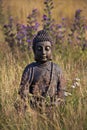 Buddha Meditation