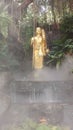 Buddha in the mist in golden mountain bangkok